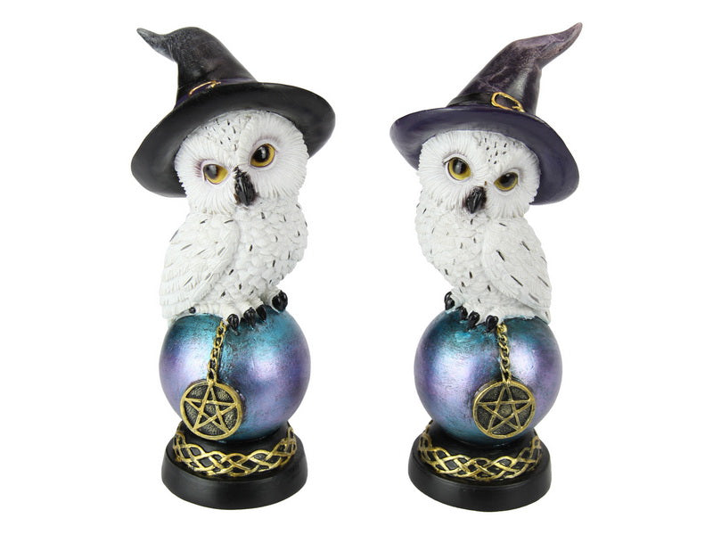 Owl w/Witch Hat on Celt