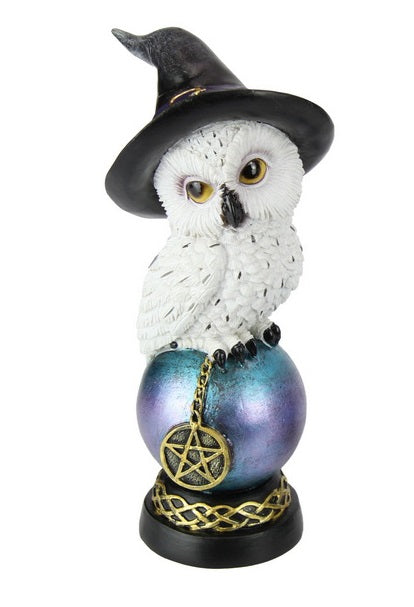 Owl w/Witch Hat on Celt