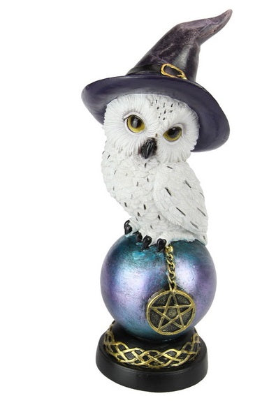 Owl w/Witch Hat on Celt