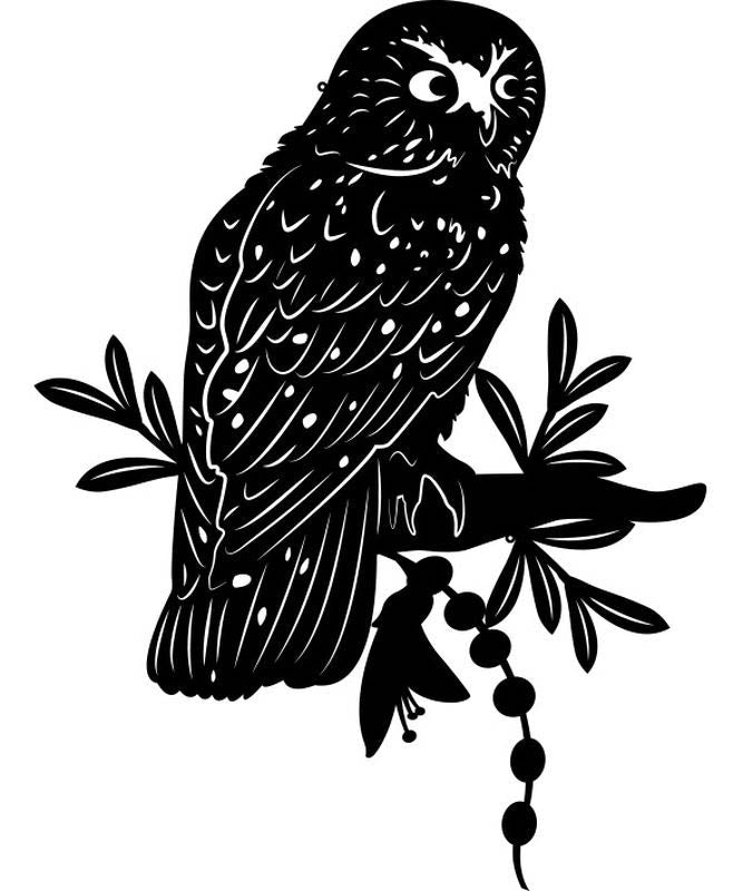 Morepork on Kowhai Wall Art