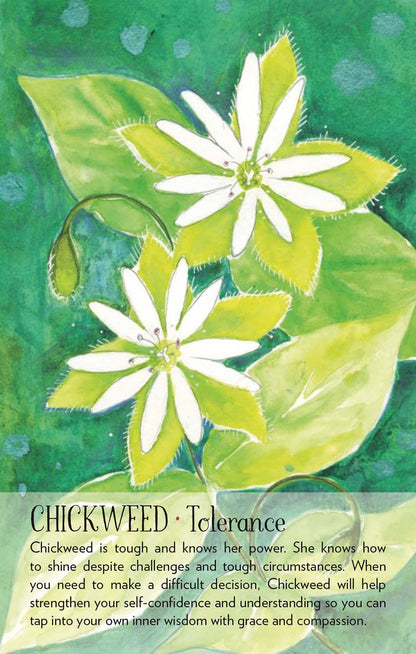 Soulflower Plant Spirit Oracle Cards