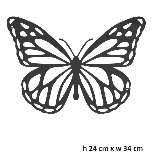 Butterfly Powder Coated Steel White