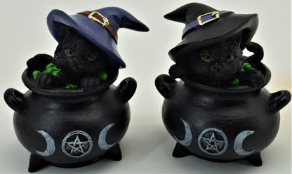 Black Cat In Cauldron