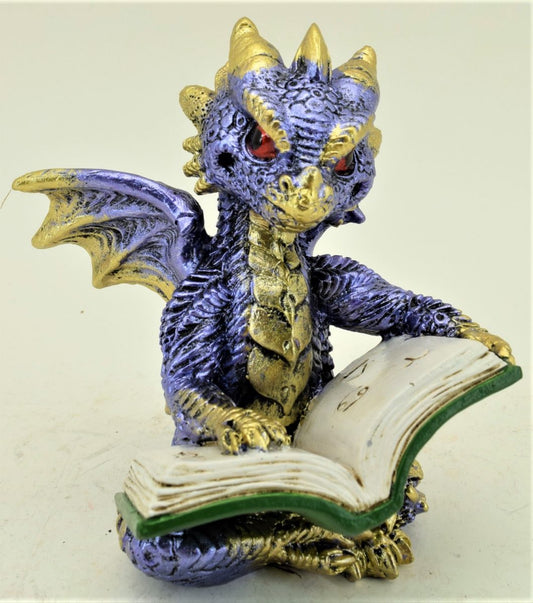 Dragon Reading Book