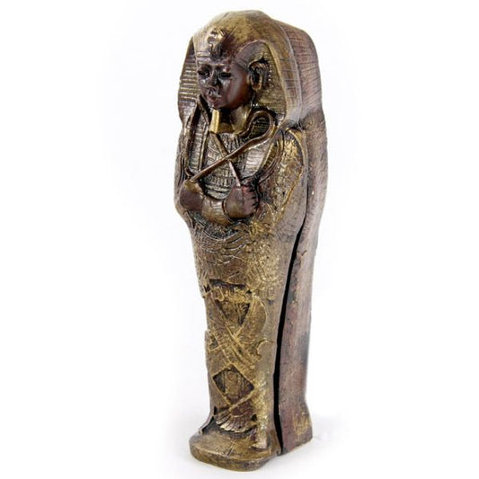 Egyptian Sarcophagus with Mummy