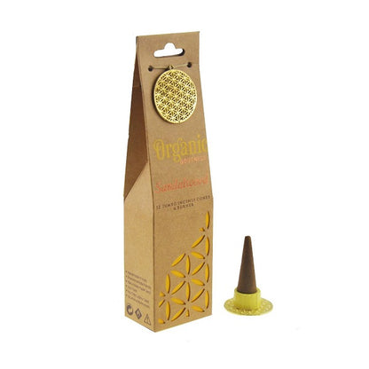 Organic Jumbo Cones