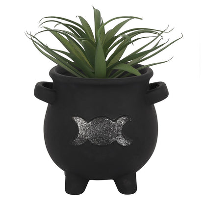 Cauldron Plant pots