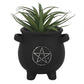 Cauldron Plant pots