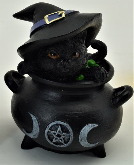 Black Cat In Cauldron