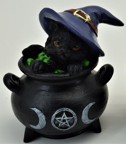 Black Cat In Cauldron