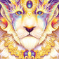 Seeker Oracle Cards