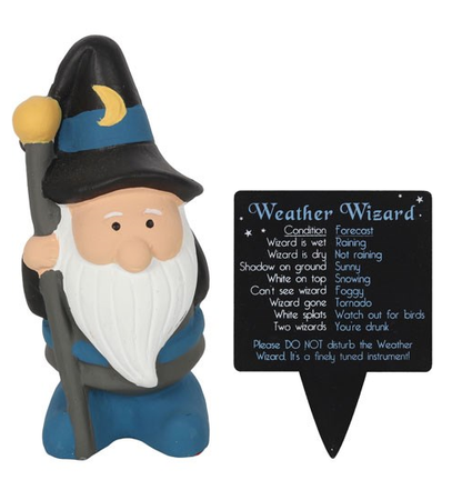 Weather Forecasting Witch and Wizard