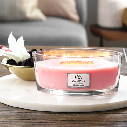 Woodwick Melon Blossom Ellipse