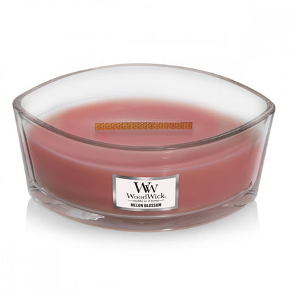 Woodwick Melon Blossom Ellipse